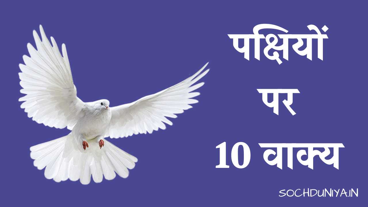 10 Lines on Birds in Hindi