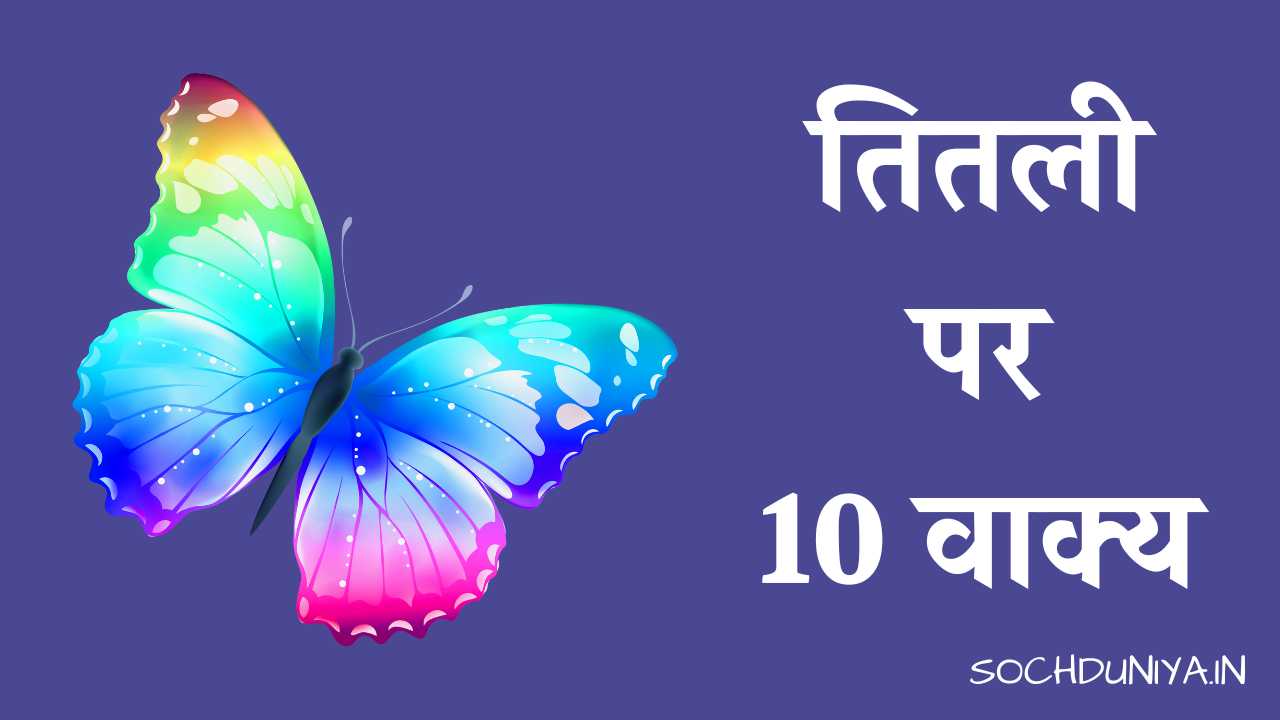 sentences on butterfly in hindi