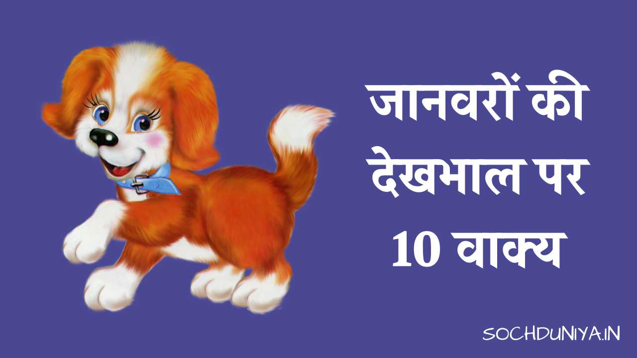 10 Lines on Care for Animals in Hindi