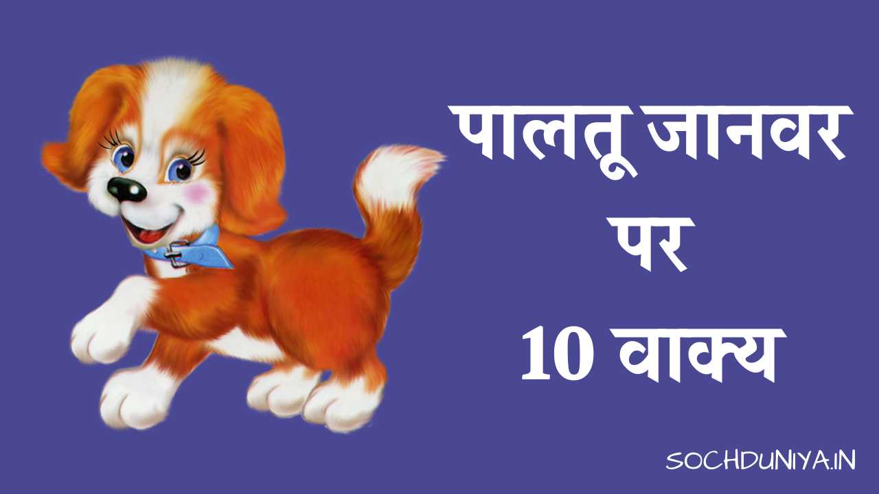 10 Lines on Domestic Animal in Hindi