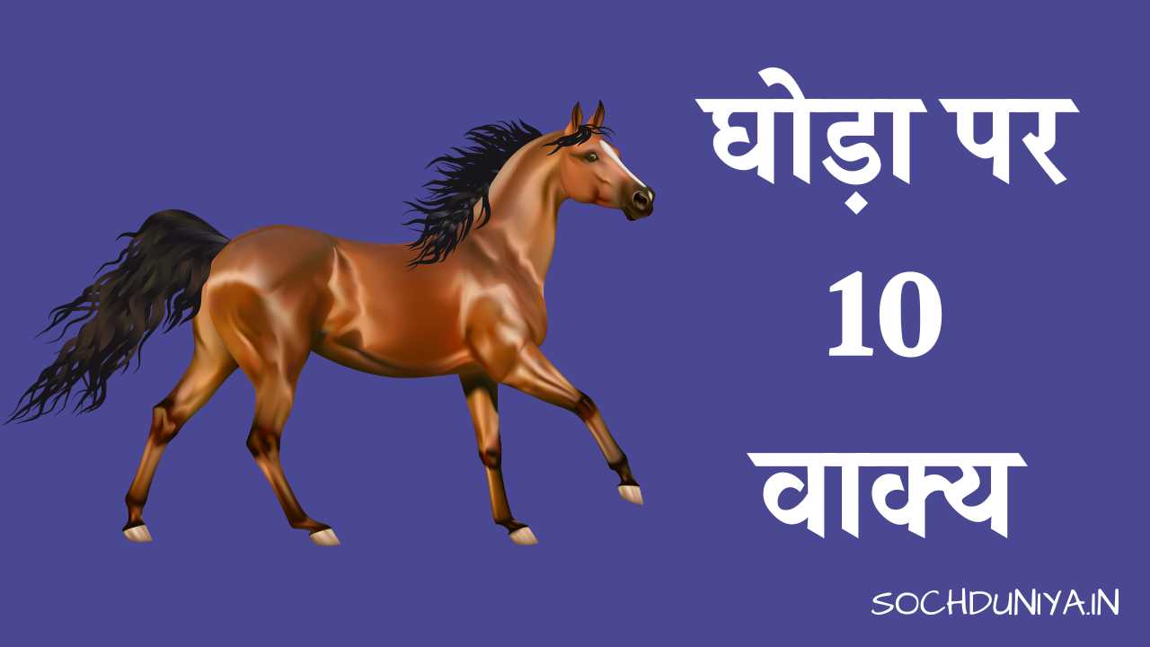 10 Lines on Horse in Hindi