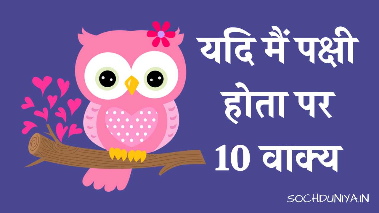 10 Lines on If I Were a Bird in Hindi