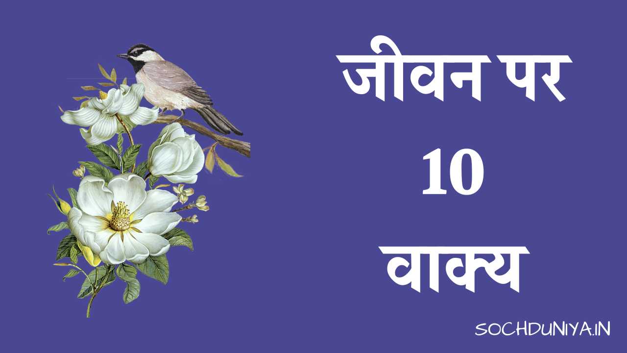 10 Lines on Life in Hindi