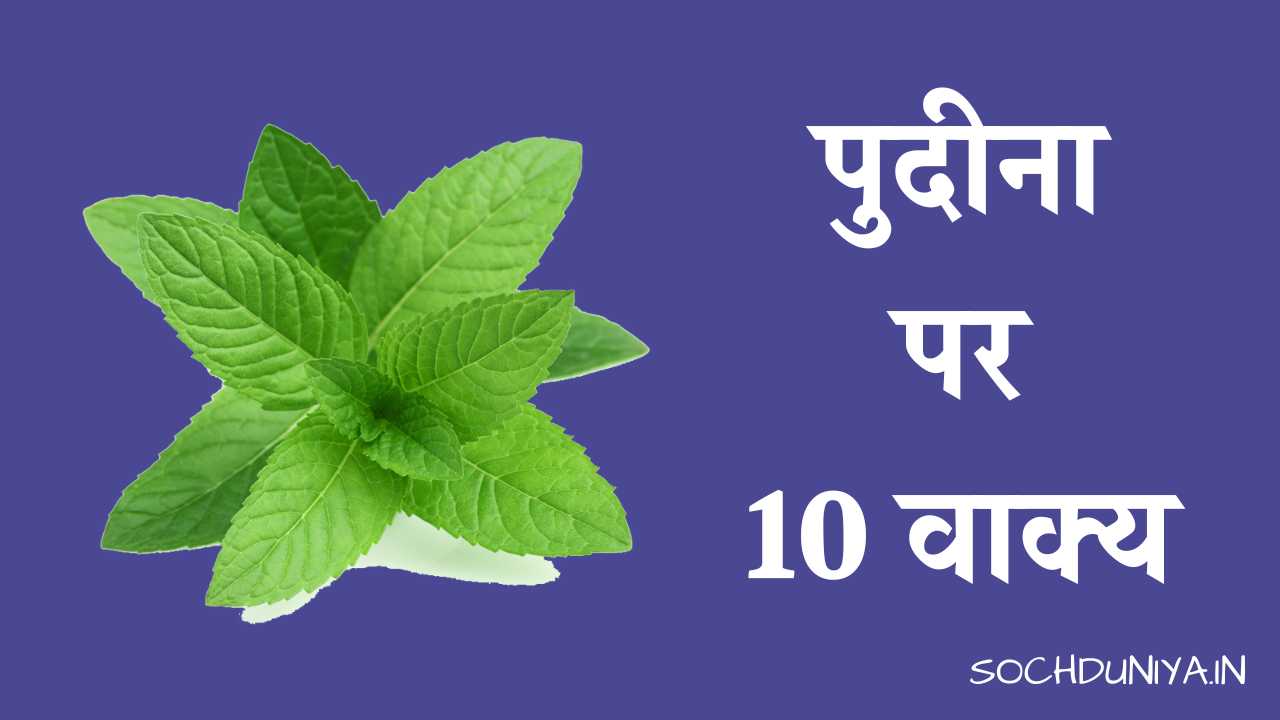 10 Lines on Mint Plant in Hindi