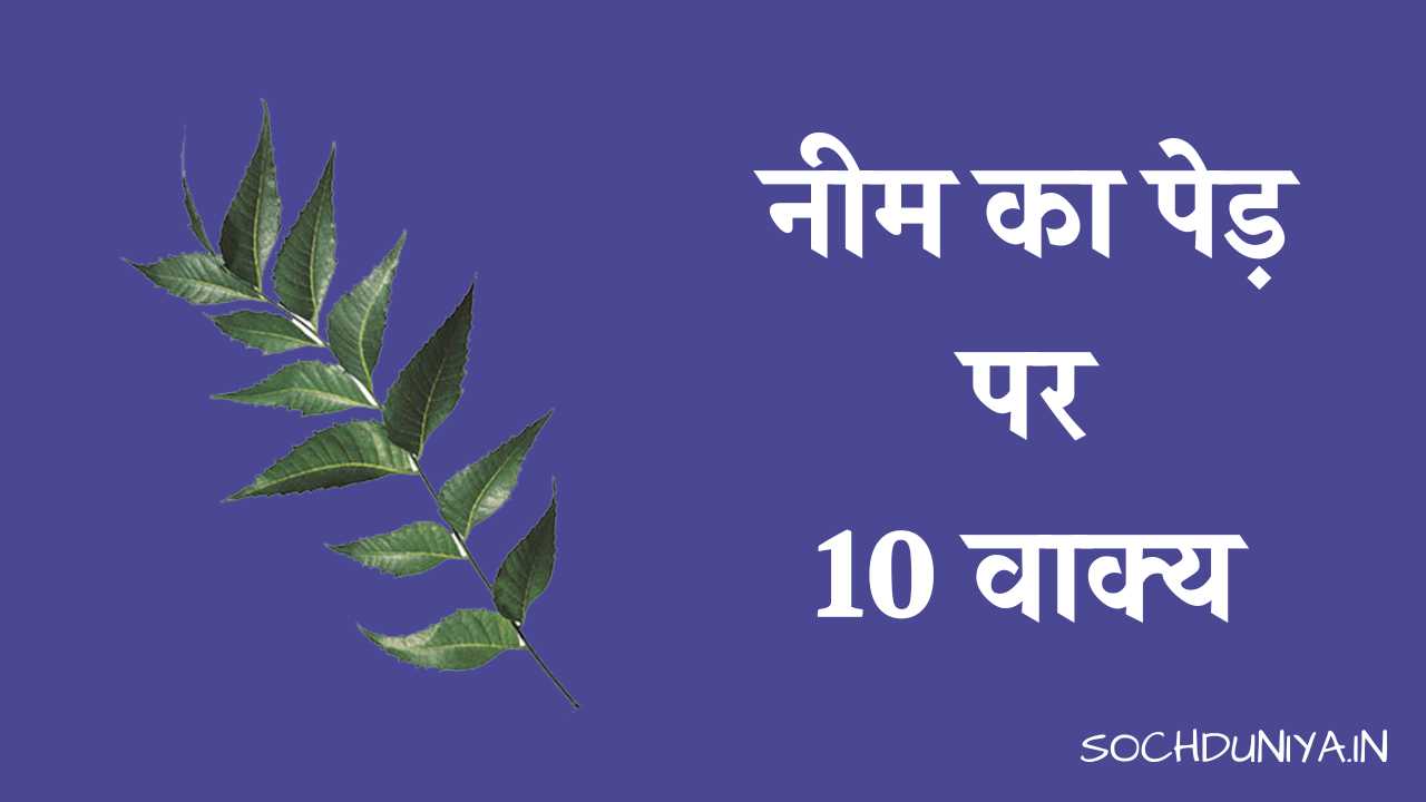 10 Lines on Neem Tree in Hindi