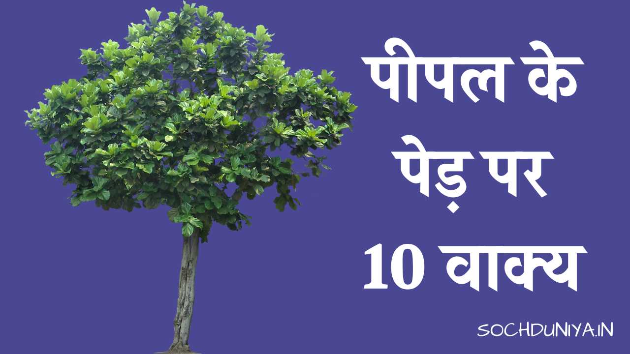 10 Lines on Peepal Tree in Hindi