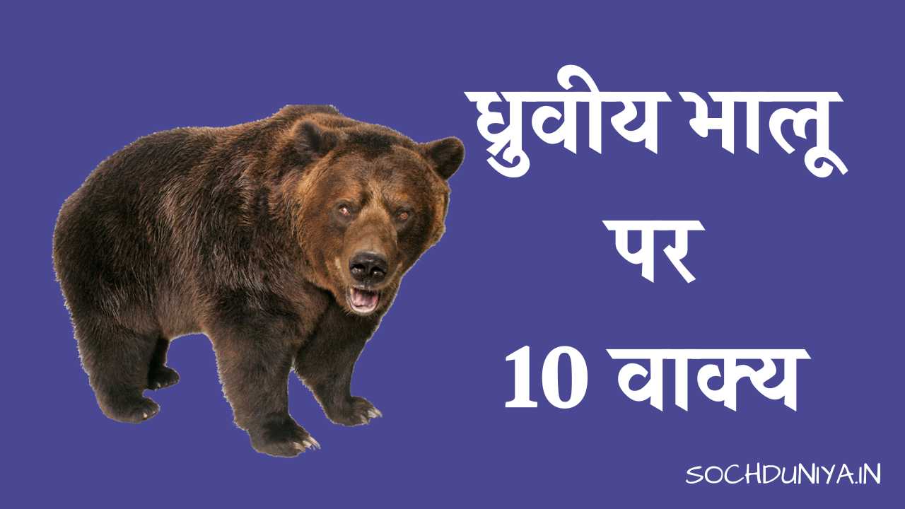 10 Lines on Polar Bear in Hindi