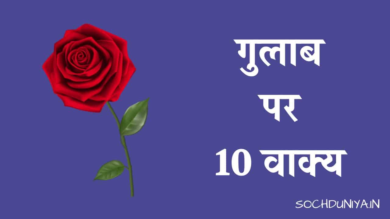 10 Lines on Rose in Hindi
