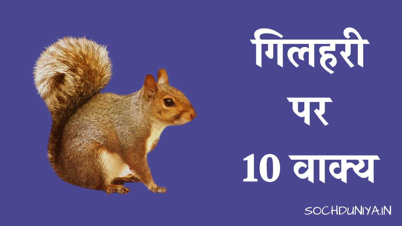 10 Lines on Squirrel in Hindi