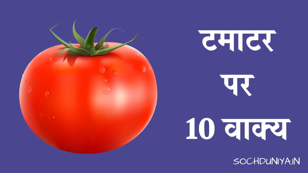 10 Lines on Tomato in Hindi