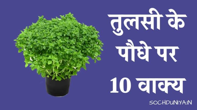 तुलसी के पौधे पर 10 वाक्य