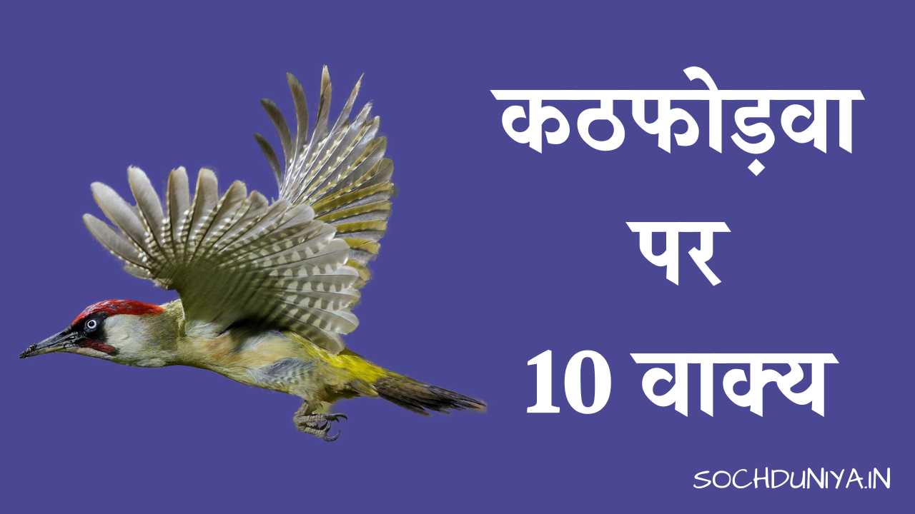 10 Lines on Woodpecker in Hindi