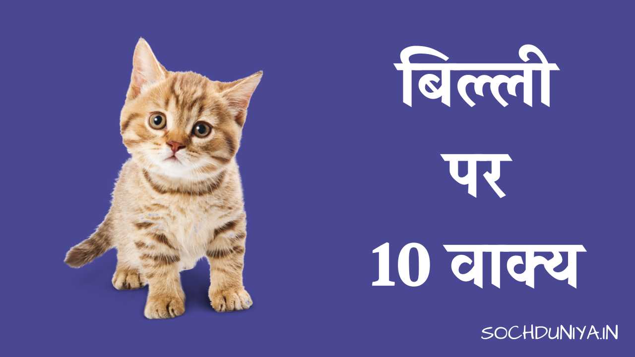 10 Lines on Cat in Hindi