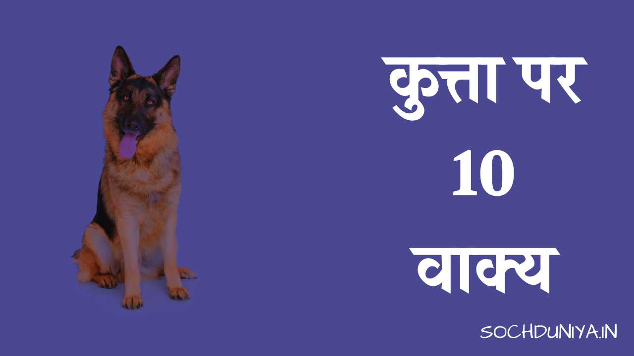 10 Lines on Dog in Hindi