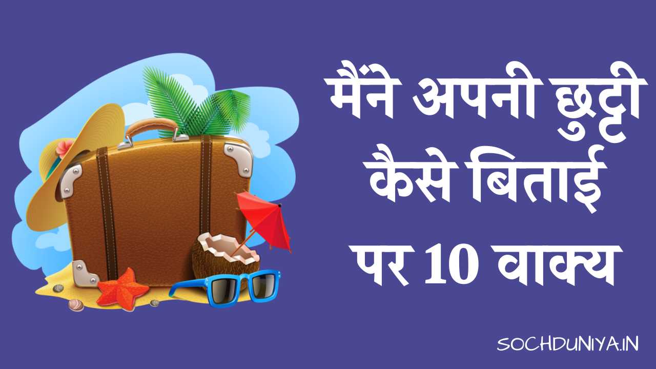 10 Lines on How I Spent My Holiday in Hindi