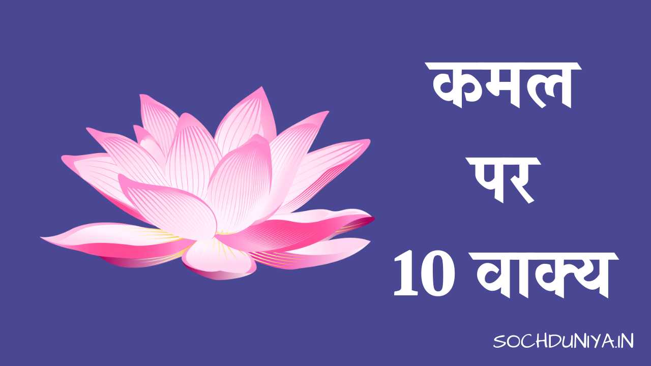 10 Lines on Lotus in Hindi