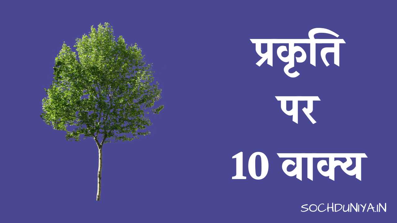 10 Lines on Nature in Hindi