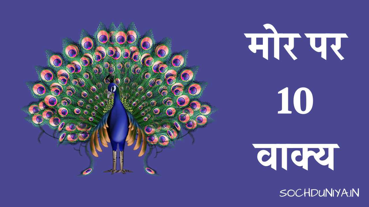 10 Lines on Peacock in Hindi