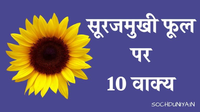 सूरजमुखी फूल पर 10 वाक्य