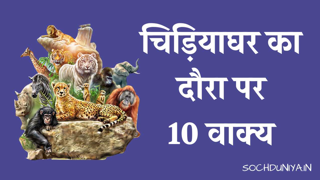 10 Lines on Visit to a Zoo in Hindi