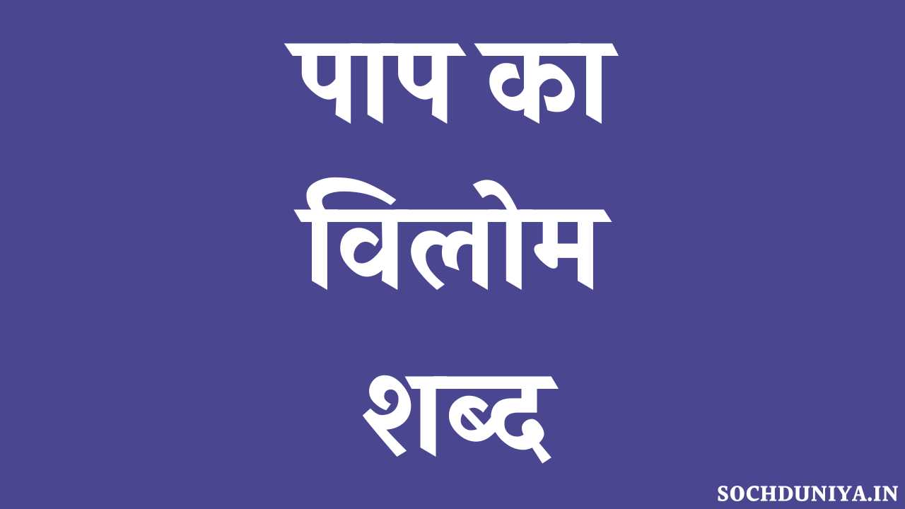 Paap Ka Vilom Shabd in Hindi