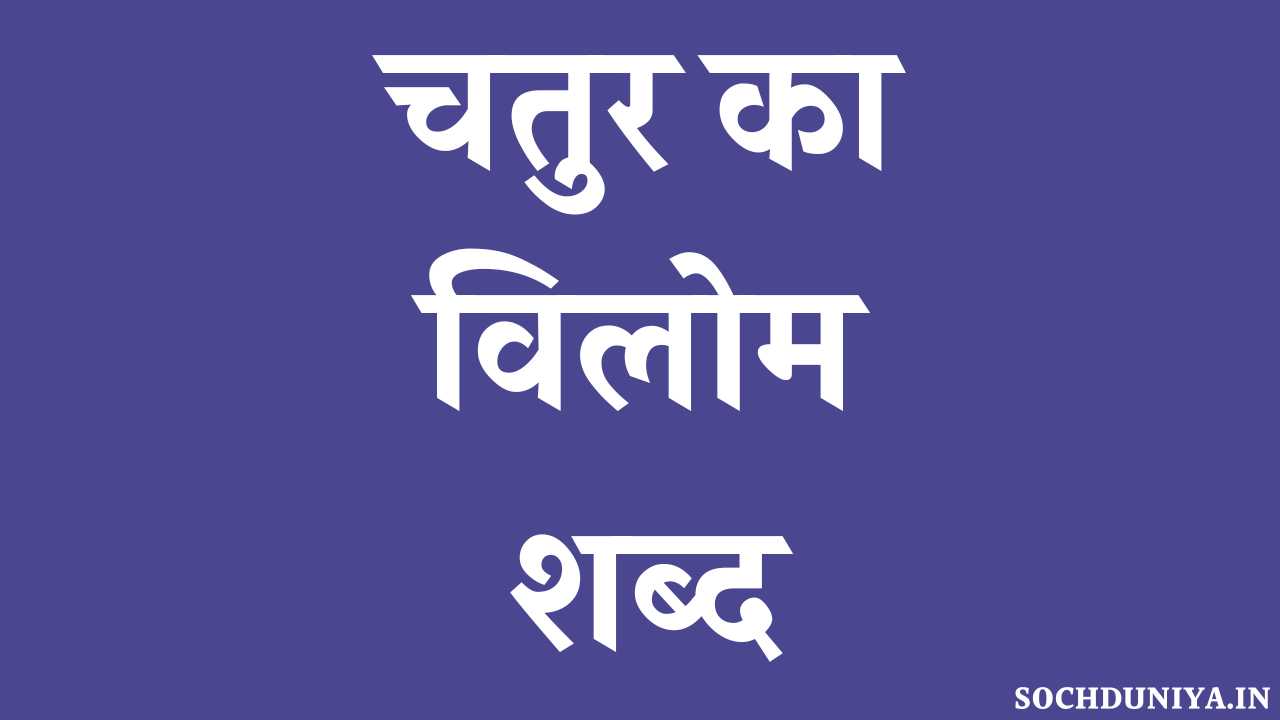 Chatur Ka Vilom Shabd in Hindi