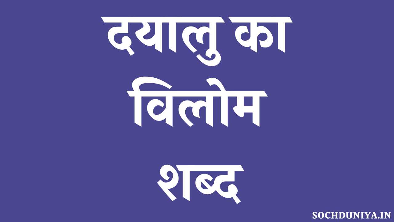 Dayalu Ka Vilom Shabd in Hindi