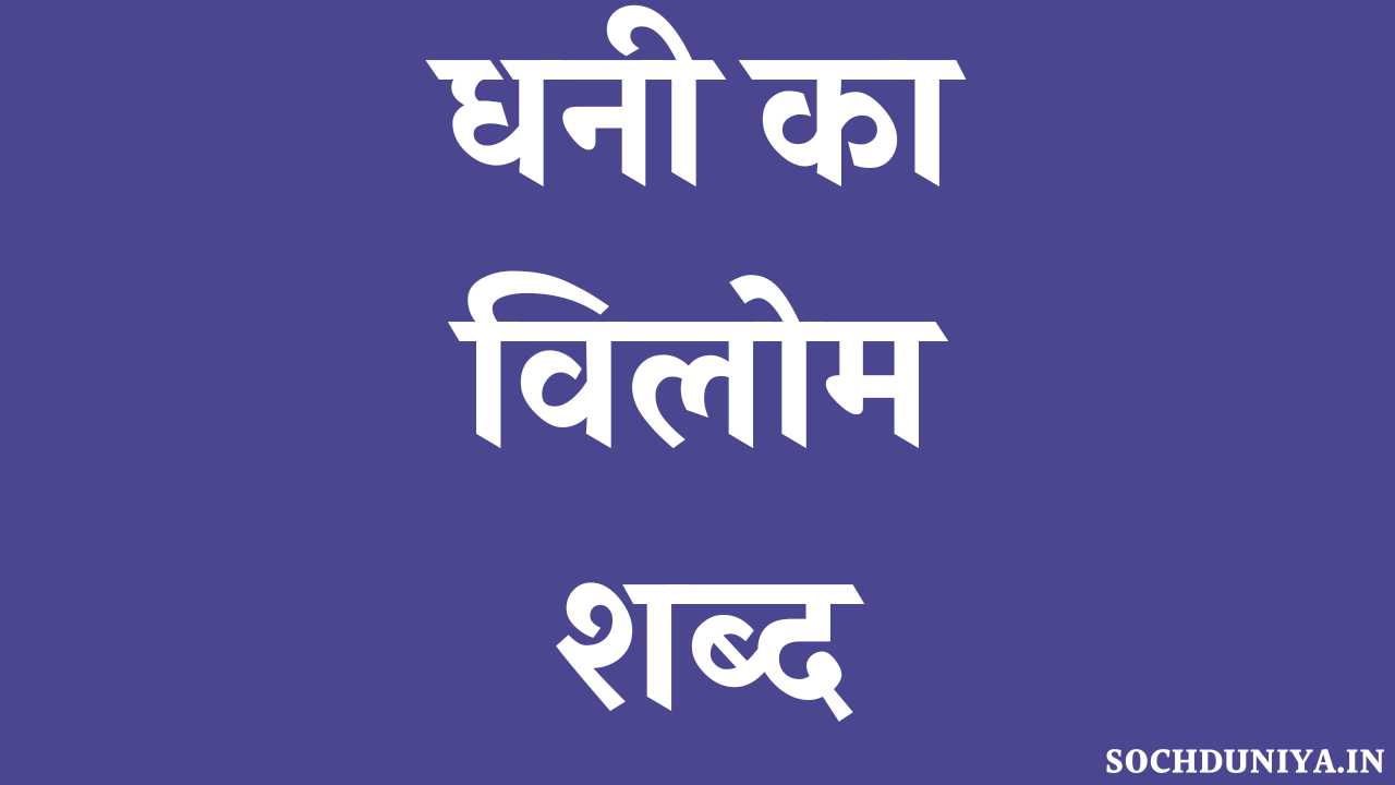 Dhani Ka Vilom Shabd in Hindi